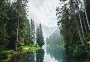 News Minister of Environment and Forestry Regulation for the Development of Environment Generation