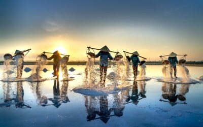 The Latest Government’s Strategy to Reduce Salt Import