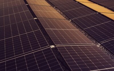 The Role of Renewable Energy Investment in Accelerating the Energy Transition