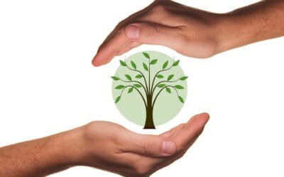Strategi CSR Berkelanjutan untuk Pertumbuhan Perusahaan