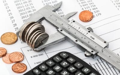 Pengelolaan Efisiensi Anggaran dalam APBN dan APBD menurut Instruksi Presiden 1/2025
