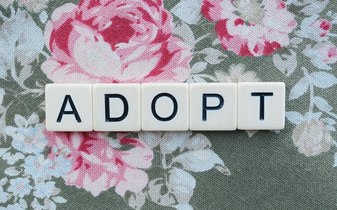 regulasi adopsi anak