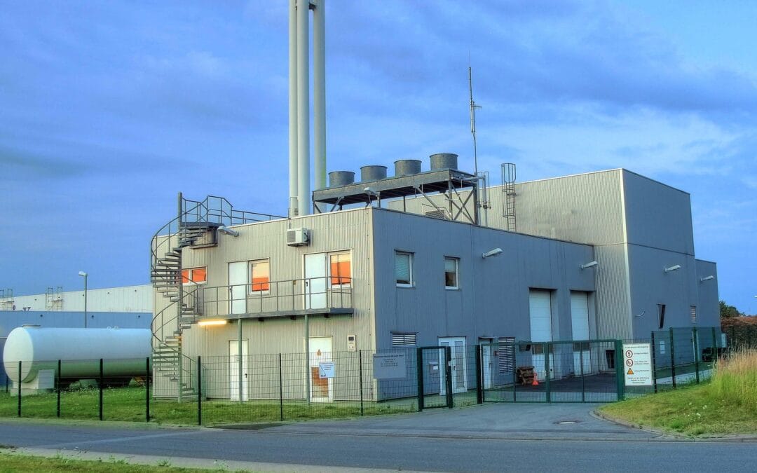 Energi Biomassa
