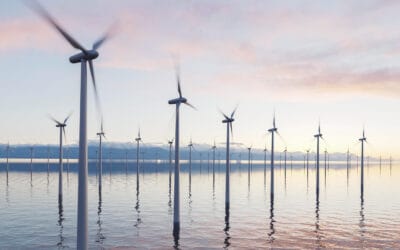 Indonesia’s Marine Biotechnology: Fueling a Sustainable Blue Economy