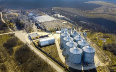 Pemanfaatan Biofuel dalam Kehidupan Sehari-hari