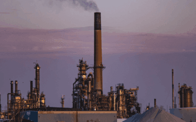 Membangun Ekonomi Hijau: Peran Strategis Carbon Credit dalam Transisi Energi Nasional