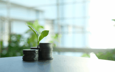 How Foreign Investment and Green Financing Are Powering Indonesia’s Clean Energy Transition