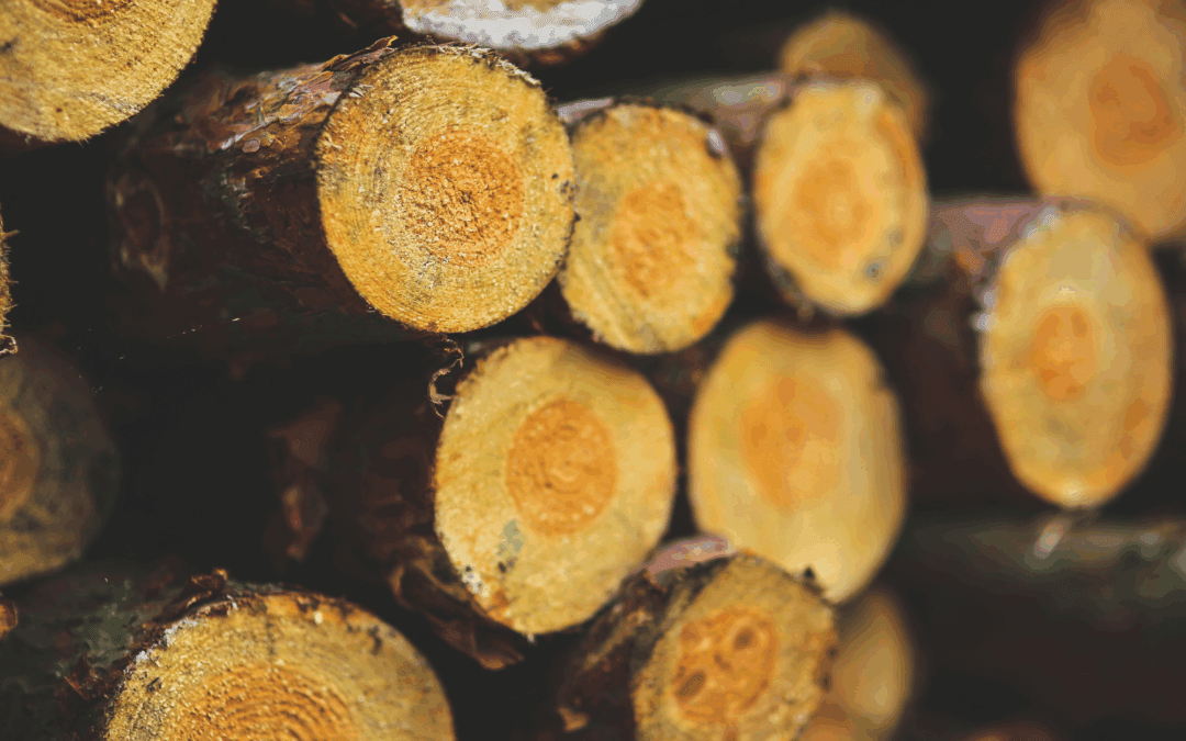 Exporting Forest Products