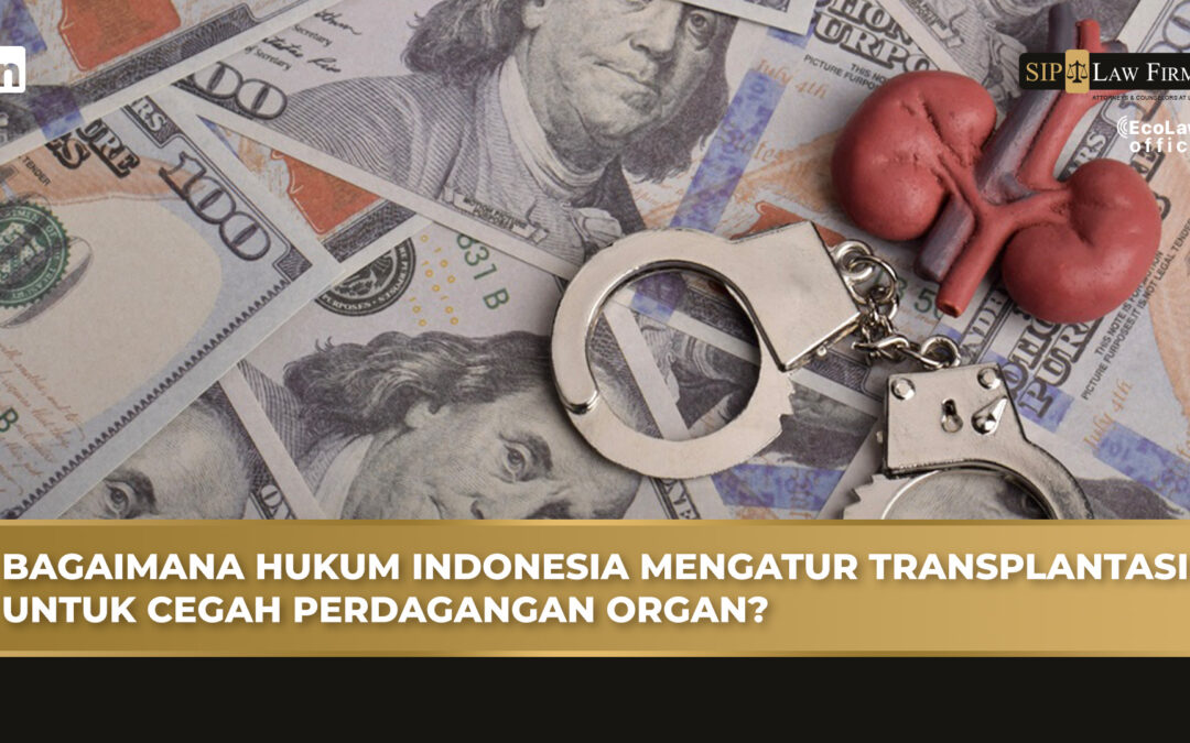 How Indonesian Law Regulates Organ Transplantation to Prevent Organ Trafficking