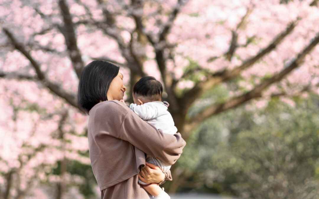 Legal Protection for Single Mothers After Divorce