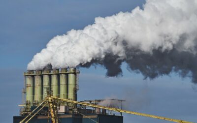 Mengapa Carbon Trading Menjadi Isu Penting yang Wajib Diketahui Perusahaan?